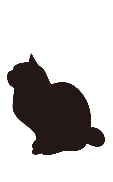 猫　4,400円