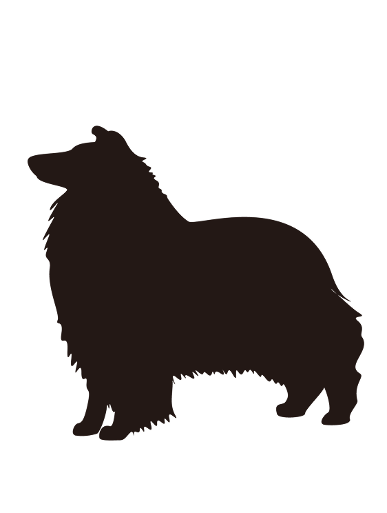 中型犬　5,000円