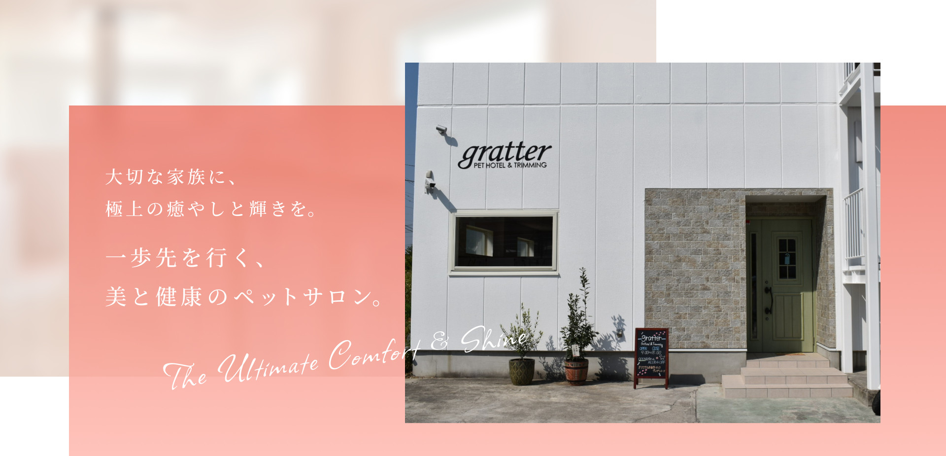 大切な家族に、極上の癒やしと輝きを。一歩先を行く、美と健康のペットサロン。
