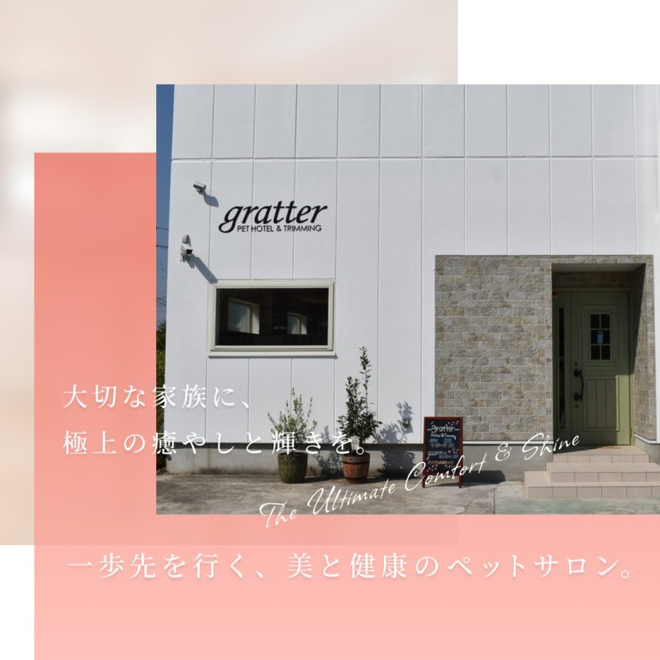 大切な家族に、極上の癒やしと輝きを。一歩先を行く、美と健康のペットサロン。