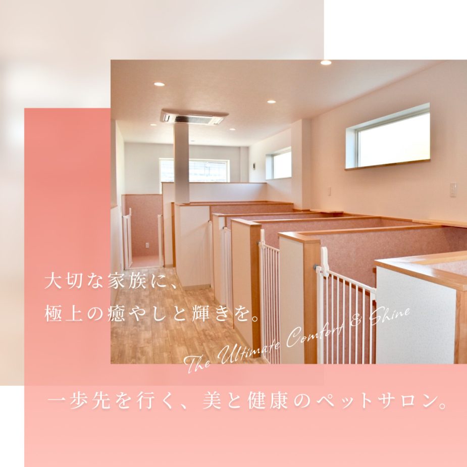 大切な家族に、極上の癒やしと輝きを。一歩先を行く、美と健康のペットサロン。