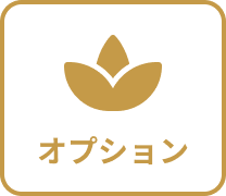 オプション
